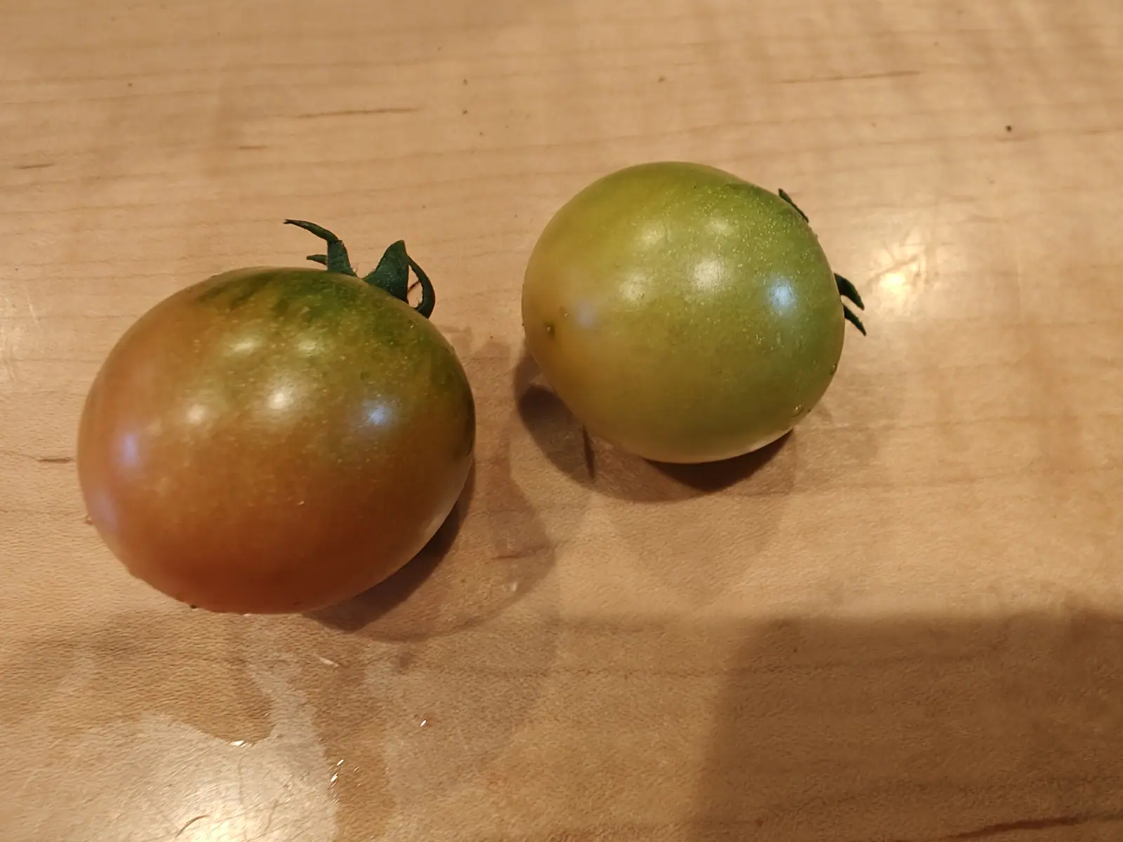 Two tomatoes on a pale wooden board — one still fully green, the other turning, shading from green at the shoulder to dusky red beneath.