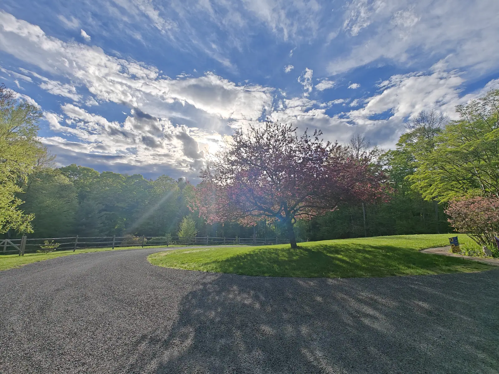 A gravel drive curving past a flowering tree in pink blossom on mown lawn, a split-rail fence and woodland to the left, under a wide sky of broken cloud with the sun low behind.