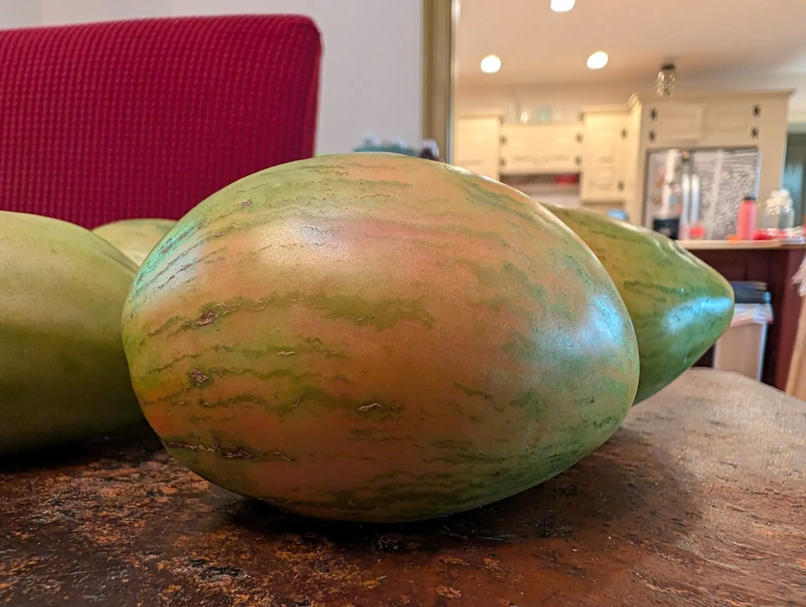 Striped green and pink tomatoes resting on a dark wooden counter indoors, a red chair back at one side and a kitchen behind.