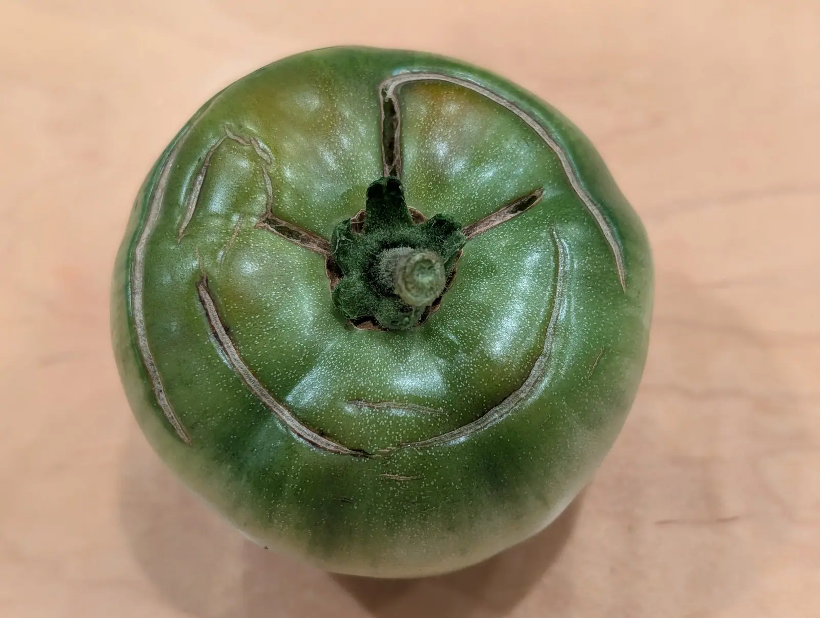 A green tomato from directly above on a pale wooden surface, healed cracks radiating from the stem scar across its shoulders.