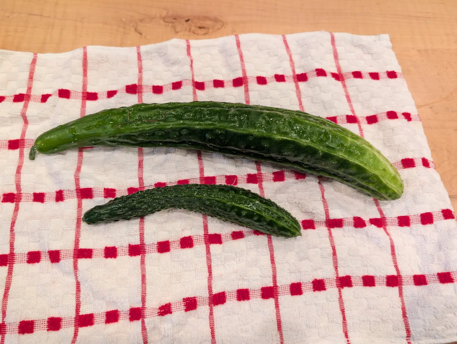 Two dark green cucumbers lying on a white towel woven with red checks, both ridged along their length and finely spined — one long and almost straight, the other short and strongly curved.