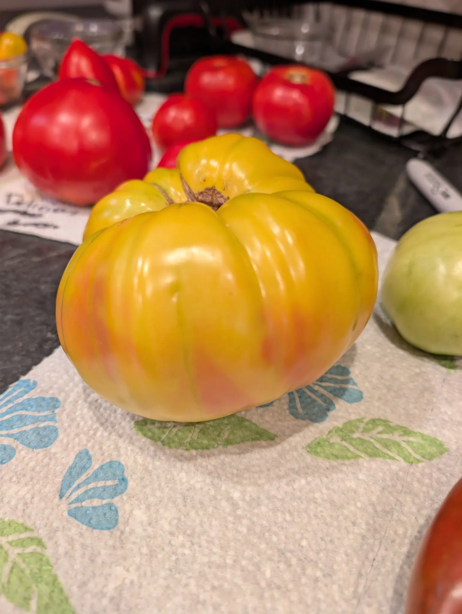 A large ribbed heirloom tomato, pale yellow flushed with orange and pink across its shoulders, sitting on a patterned kitchen towel. Behind it, out of focus, four or five deep red tomatoes and one still green rest on the counter.