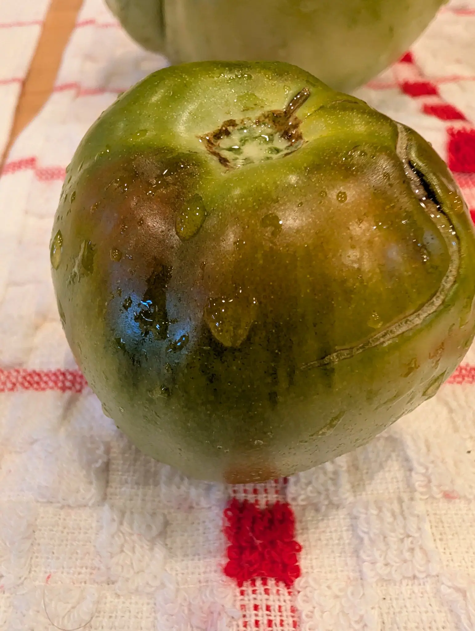 Tomatoes, 29 August 2026