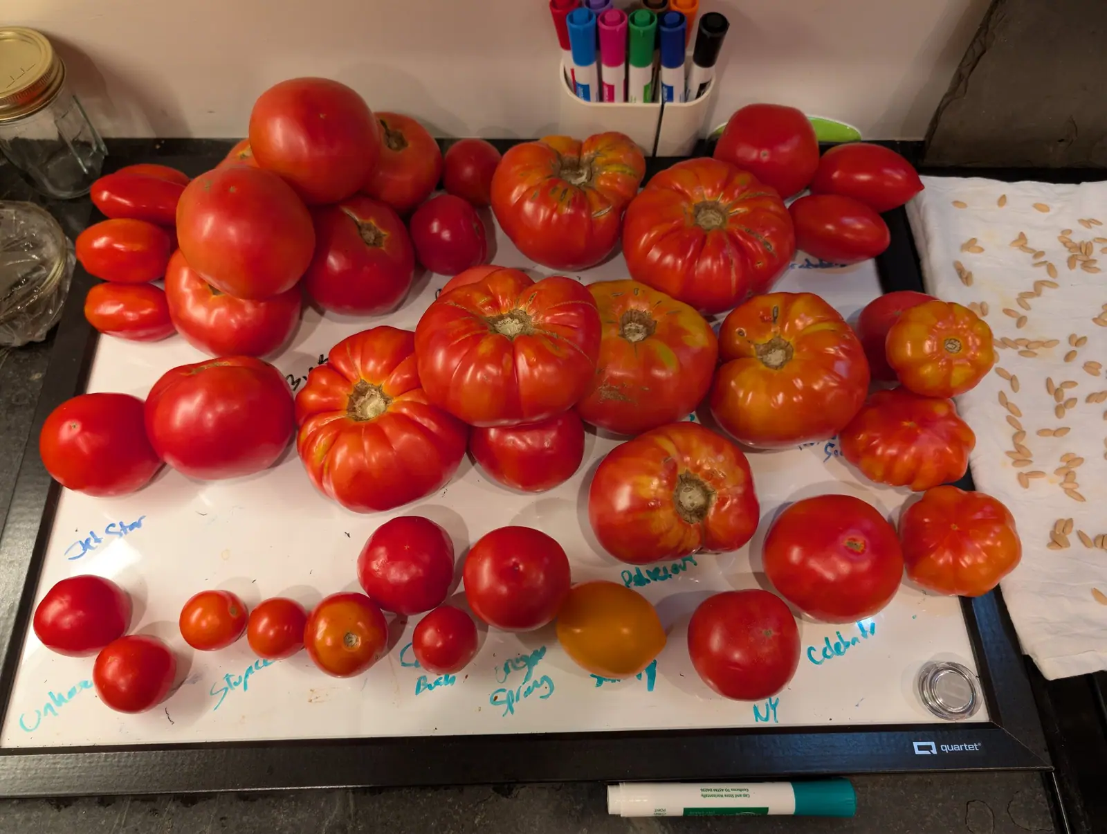 The garden, 3 September 2026