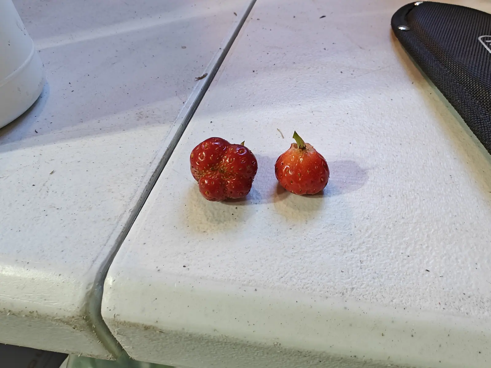 Two small ripe strawberries on the edge of a white worktop, one ridged and misshapen and the other round with its green calyx still attached, a dark case at the right.