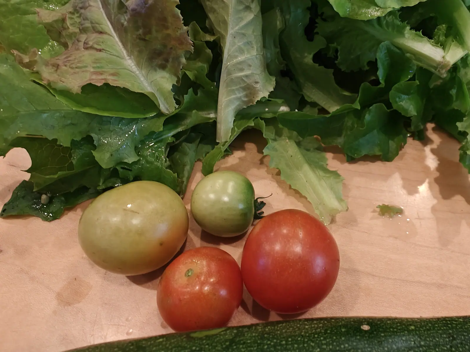 Two red tomatoes, one yellow-green and one small green one, arranged on a pale wooden board with a pile of freshly picked lettuce behind and a zucchini at the edge.