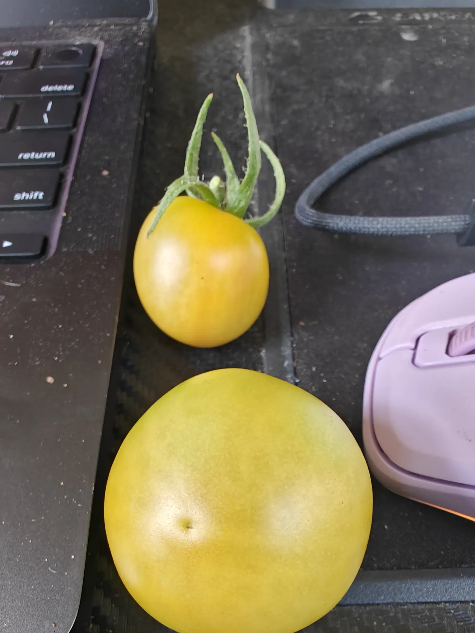 Two pale yellow tomatoes on a dark desk beside a laptop keyboard and a lilac wireless mouse, the smaller one still carrying its splayed green calyx.