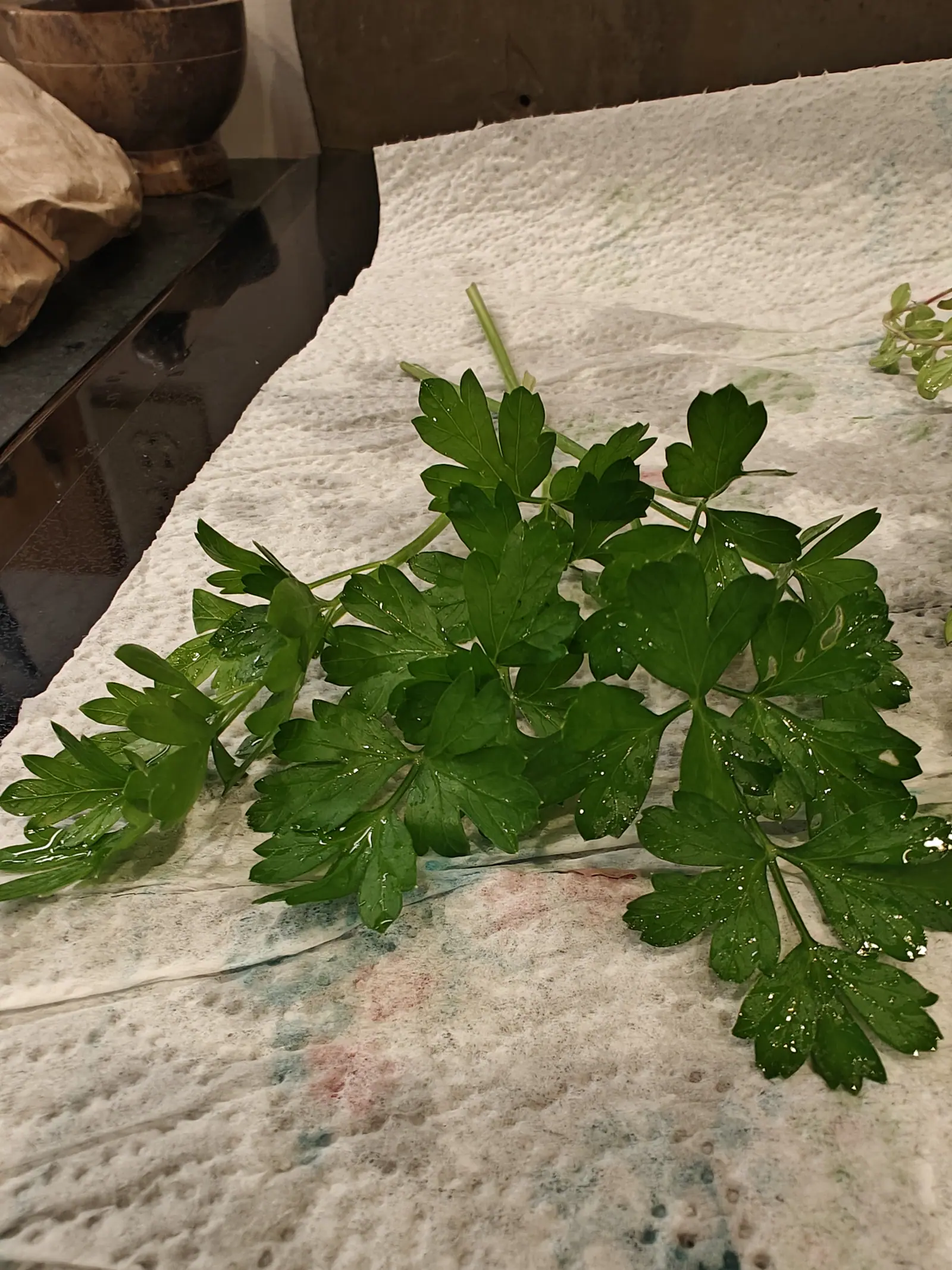 A cut sprig of flat-leaf parsley beaded with water on a paper towel on a dark countertop, wooden bowls out of focus behind it.