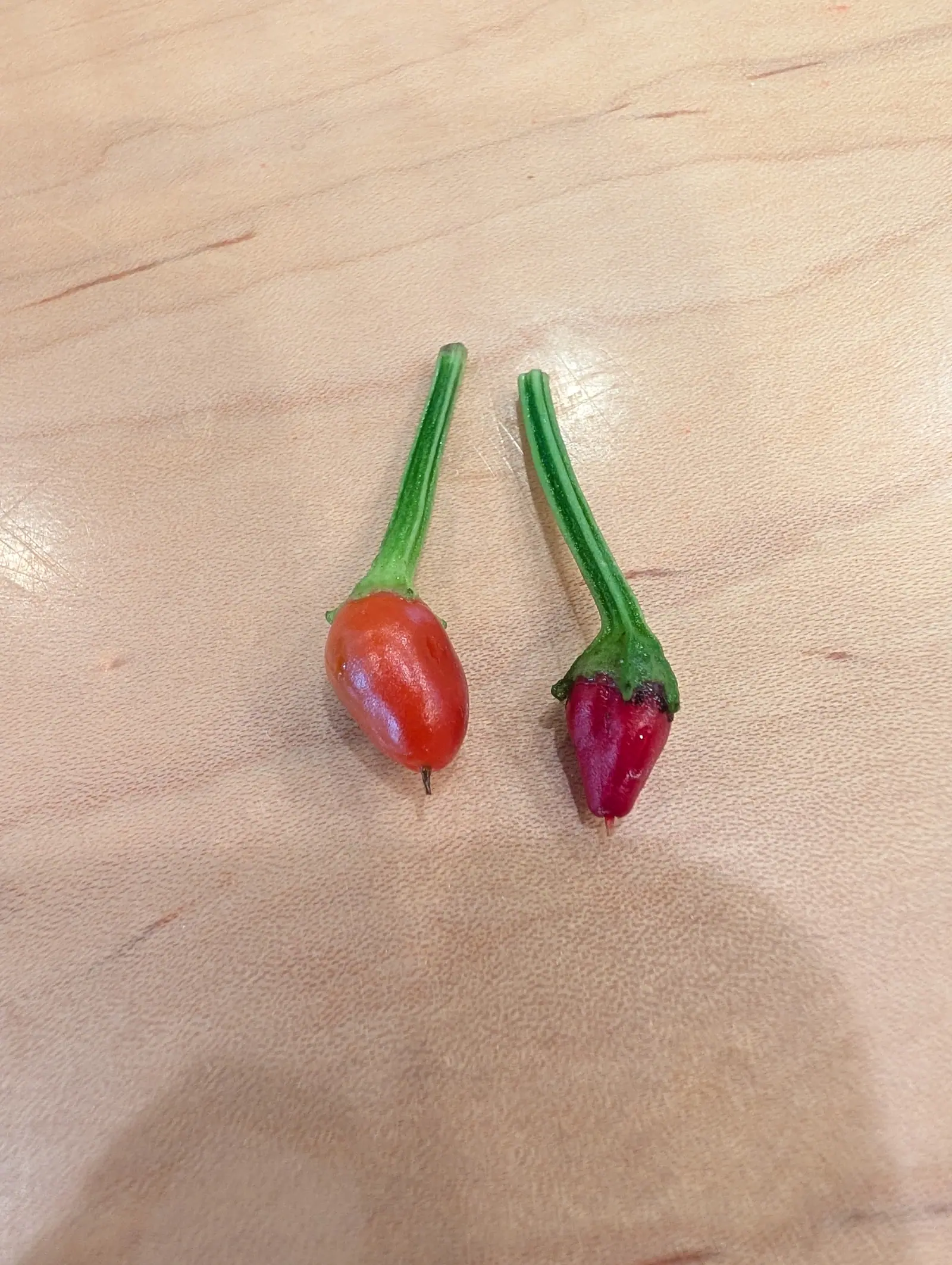 Two small peppers on a pale wooden table, one round and orange-red, the other conical and deep magenta, each still carrying a long green stalk.