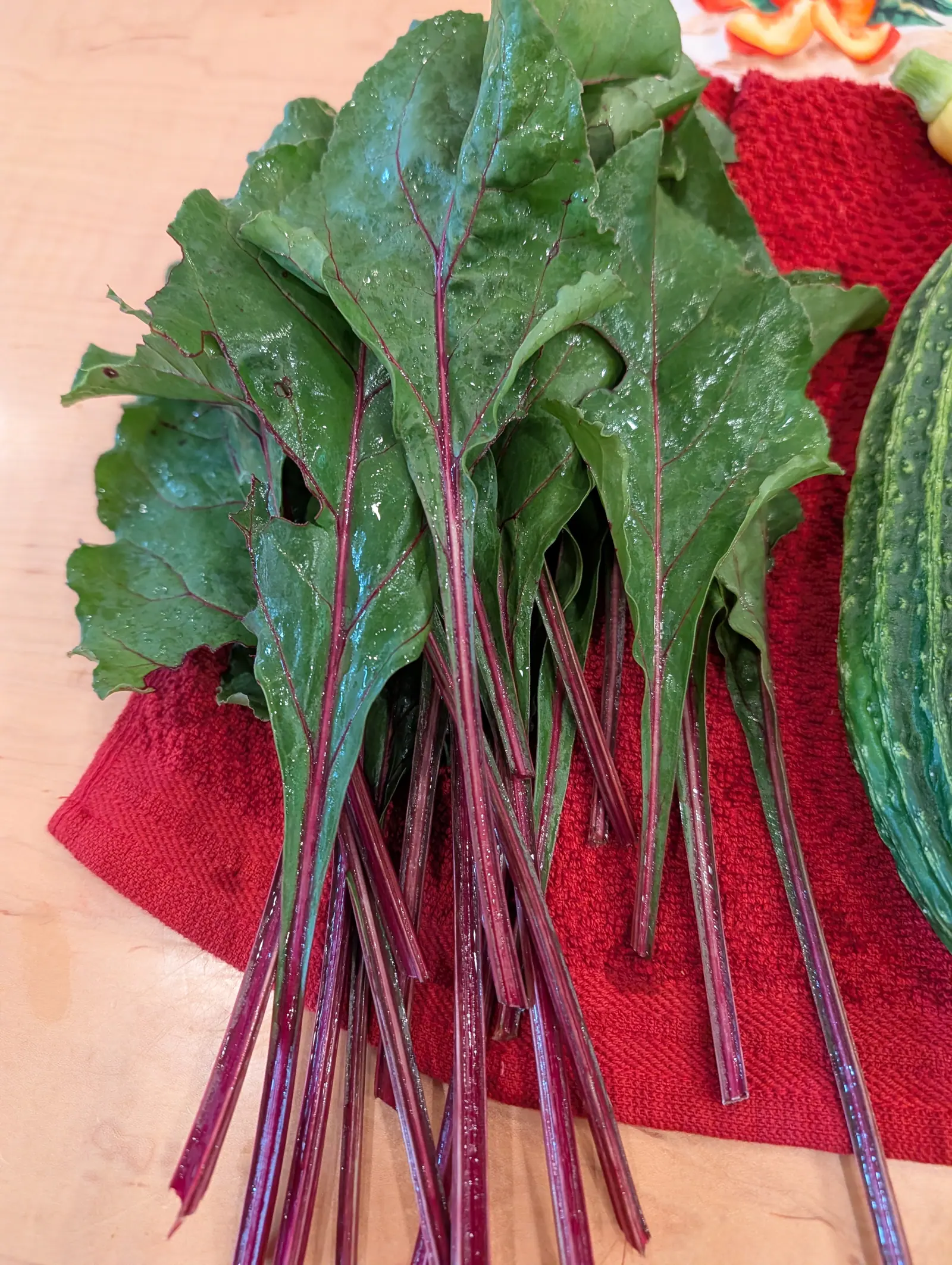 A bunch of beet leaves with deep magenta stems lying on a red cloth on a wooden worktop, the leaves still wet, a ridged cucumber alongside.