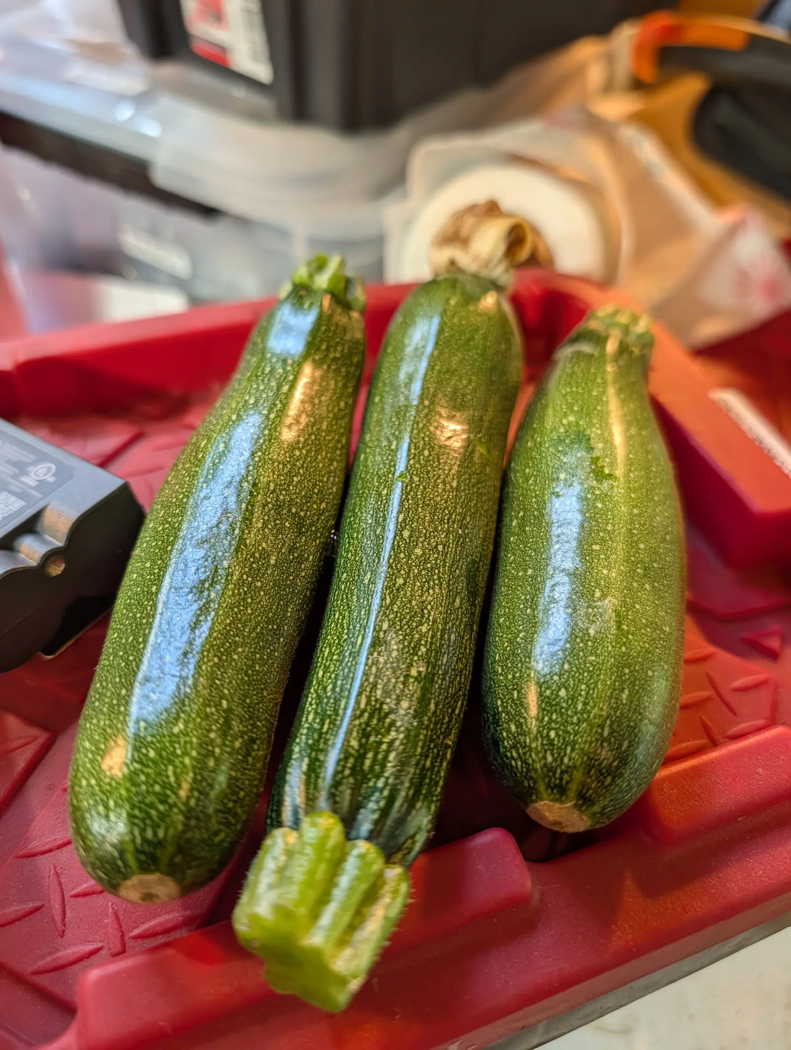 Three dark green zucchini side by side on a red ridged plastic tray on the kitchen counter, storage tubs blurred behind them.