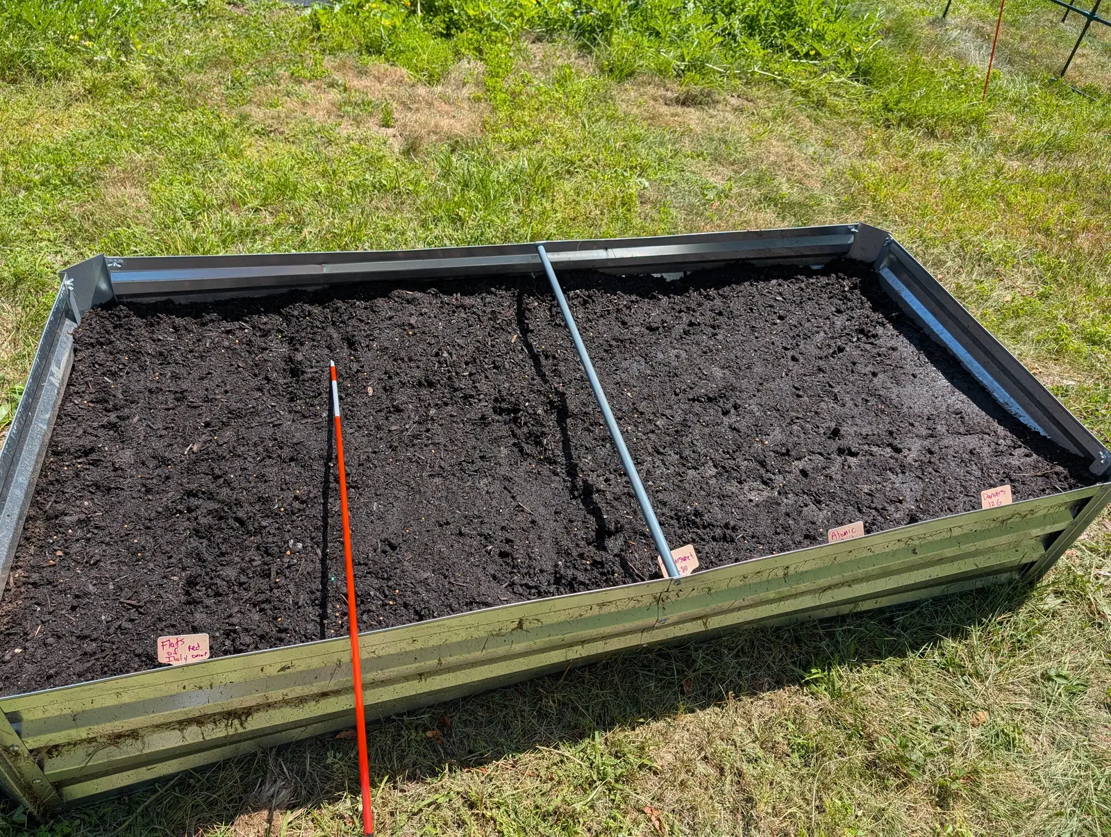 A galvanised raised bed on mown grass, freshly filled with dark compost and raked level, an orange marker rod and a metal brace laid across it and small pink labels on the near edge.