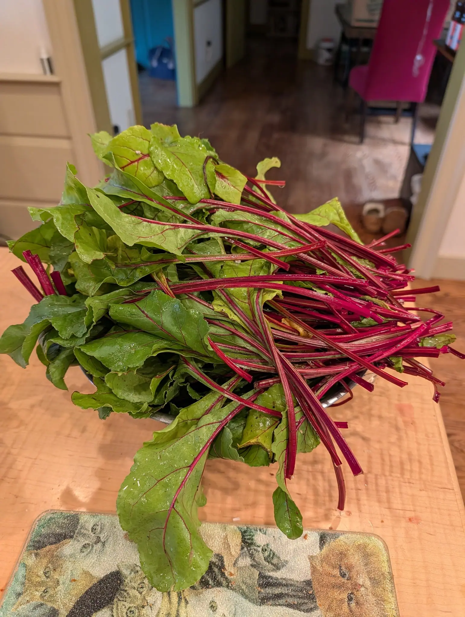 A bunch of beet greens on a wooden kitchen table, magenta stalks fanning out from crumpled green leaves, with a doorway and dark floorboards beyond.