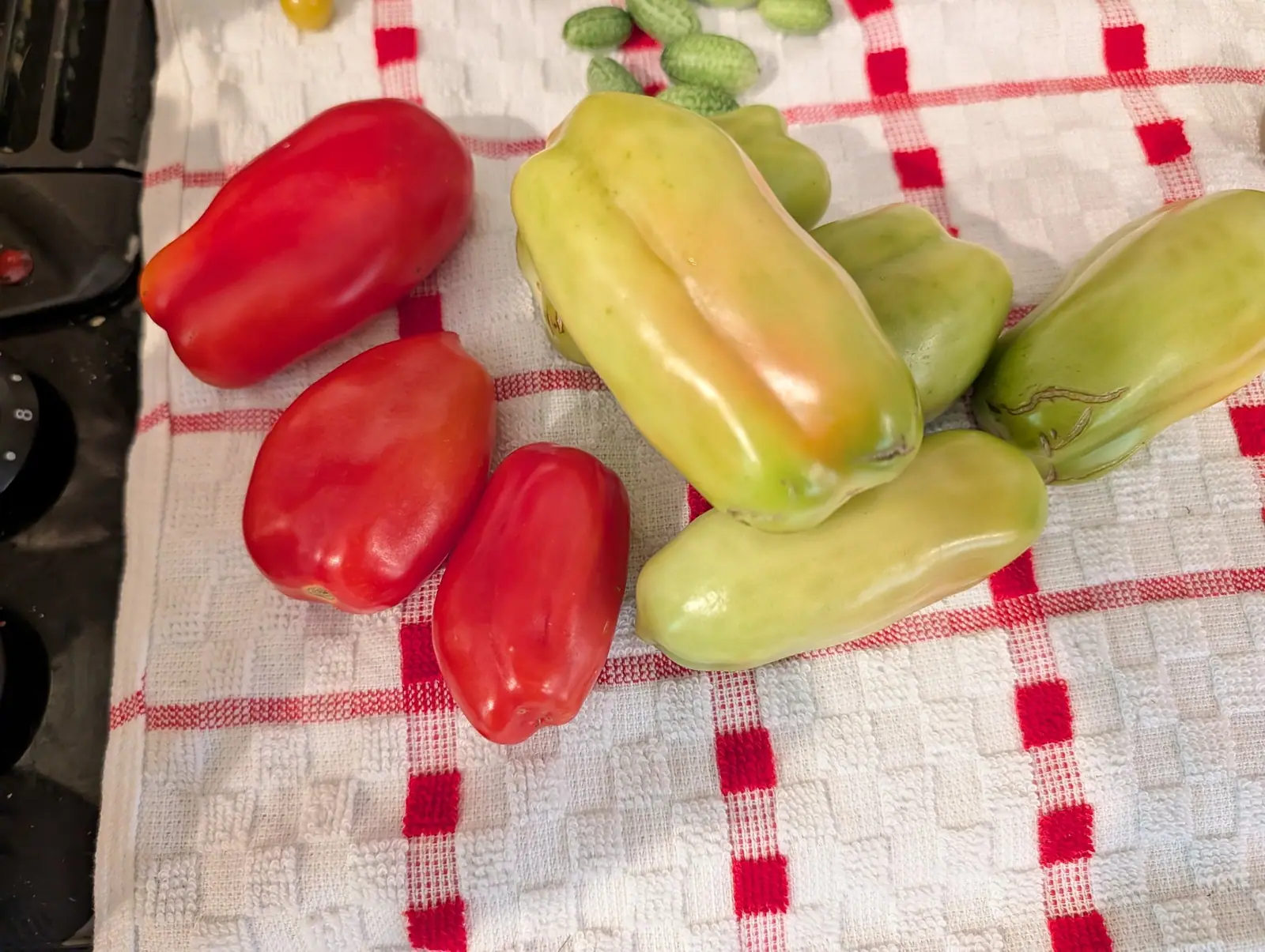Plum tomatoes laid out on a red-and-white checked cloth, three ripe red and five still pale green, with a few small green fruits at the top edge.